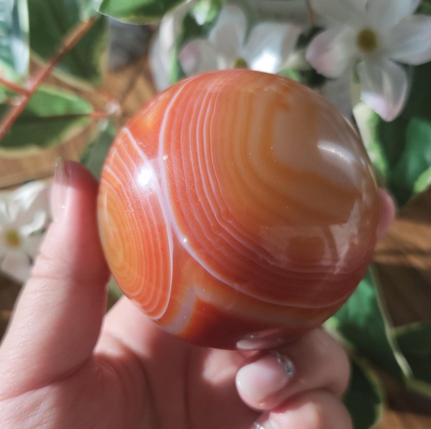 Amazing natural carnelian/sardonyx sphere with beautiful banding, has a druzy 67.2mm