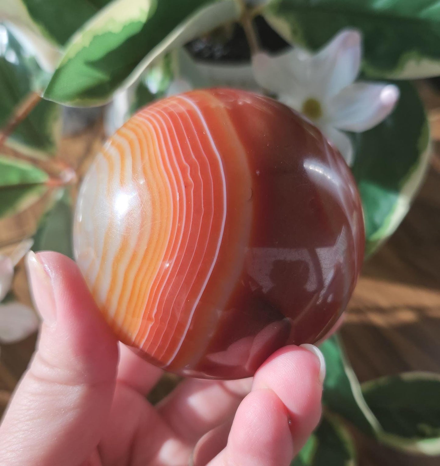 Amazing natural carnelian/sardonyx sphere with beautiful banding, has a druzy 67.2mm