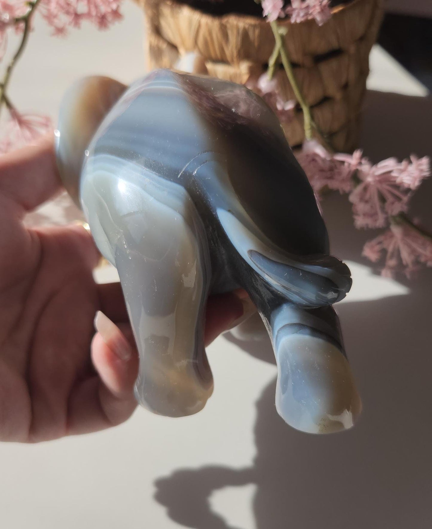 Beautiful master hand carved elephant agate with a sparkly white druzy, natural, nice banding, quartz