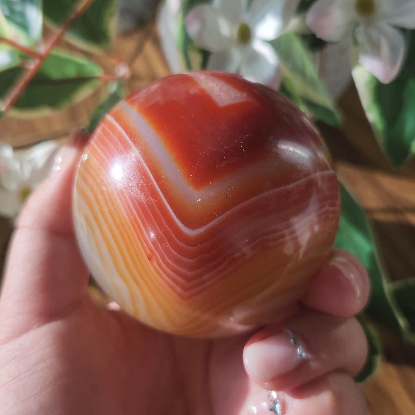 Amazing natural carnelian/sardonyx sphere with beautiful banding, has a druzy 67.2mm