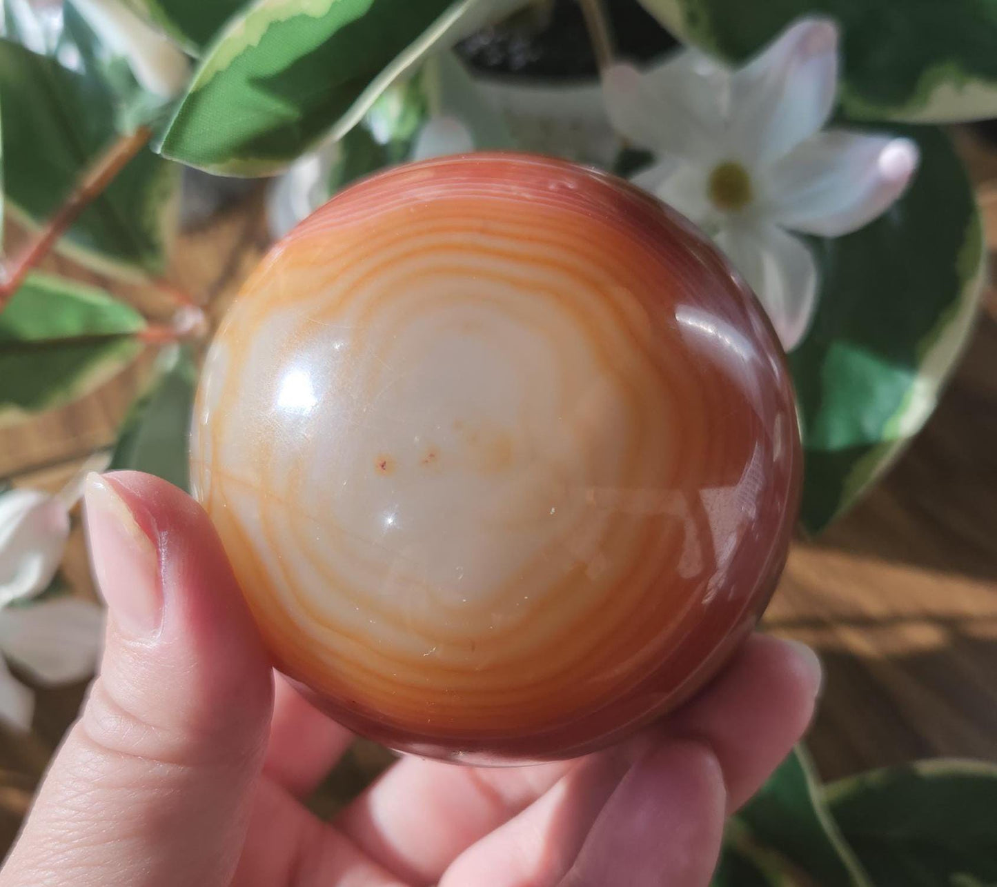 Amazing natural carnelian/sardonyx sphere with beautiful banding, has a druzy 67.2mm