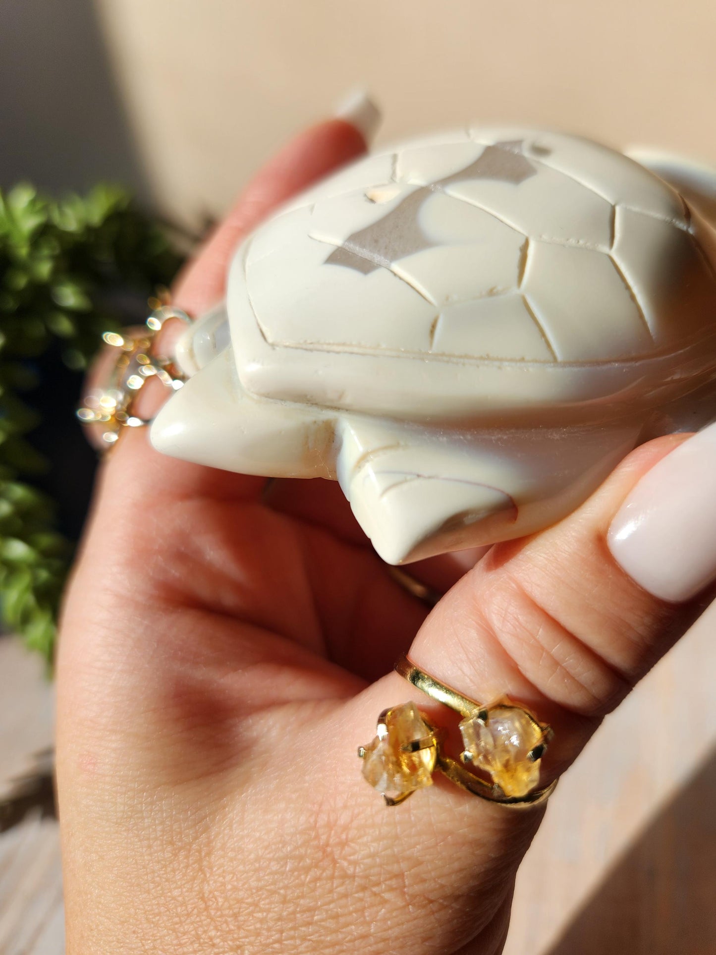 Amazing white orca sea turtle, hand carved
