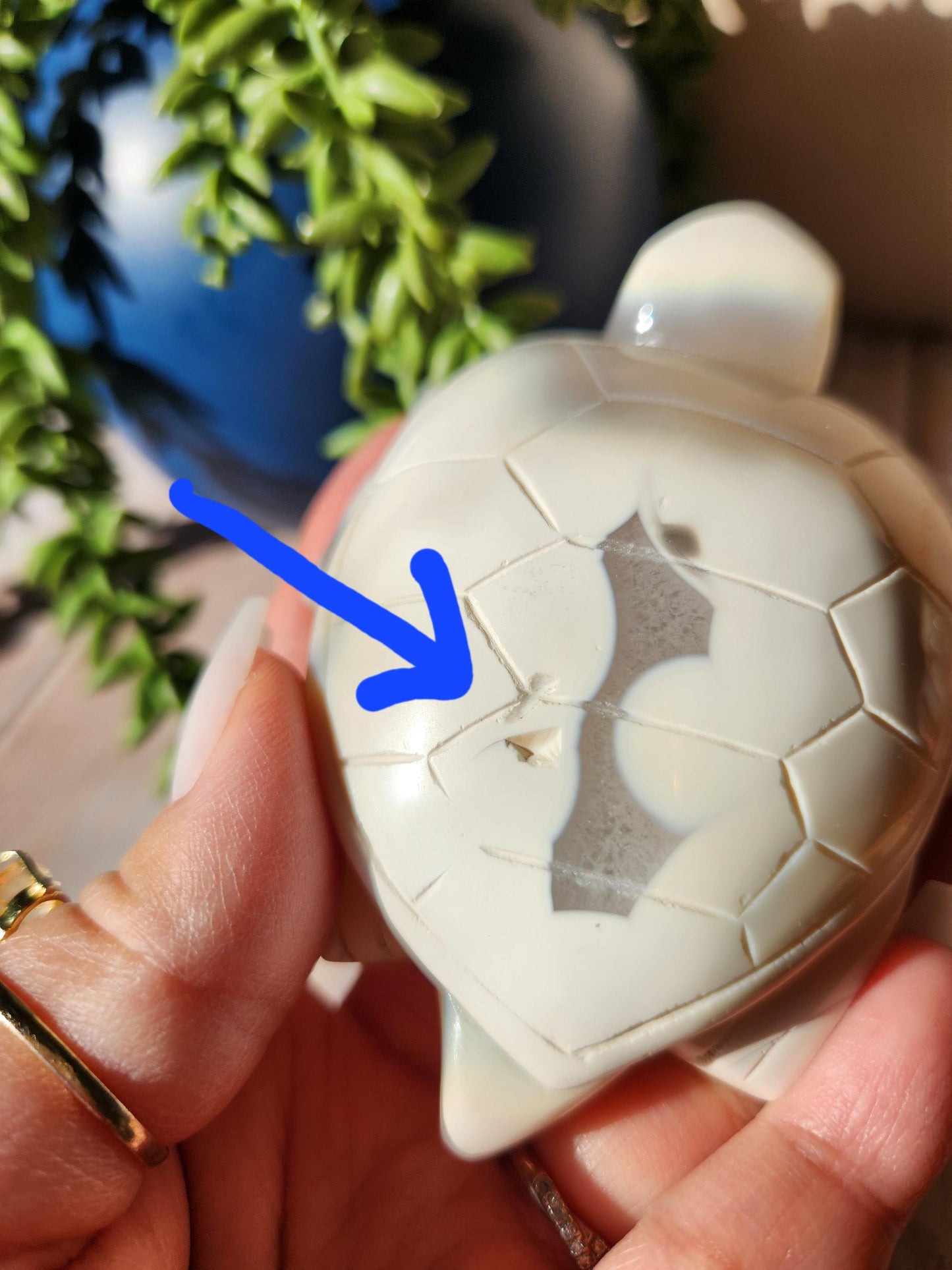 White orca sea turtle carving