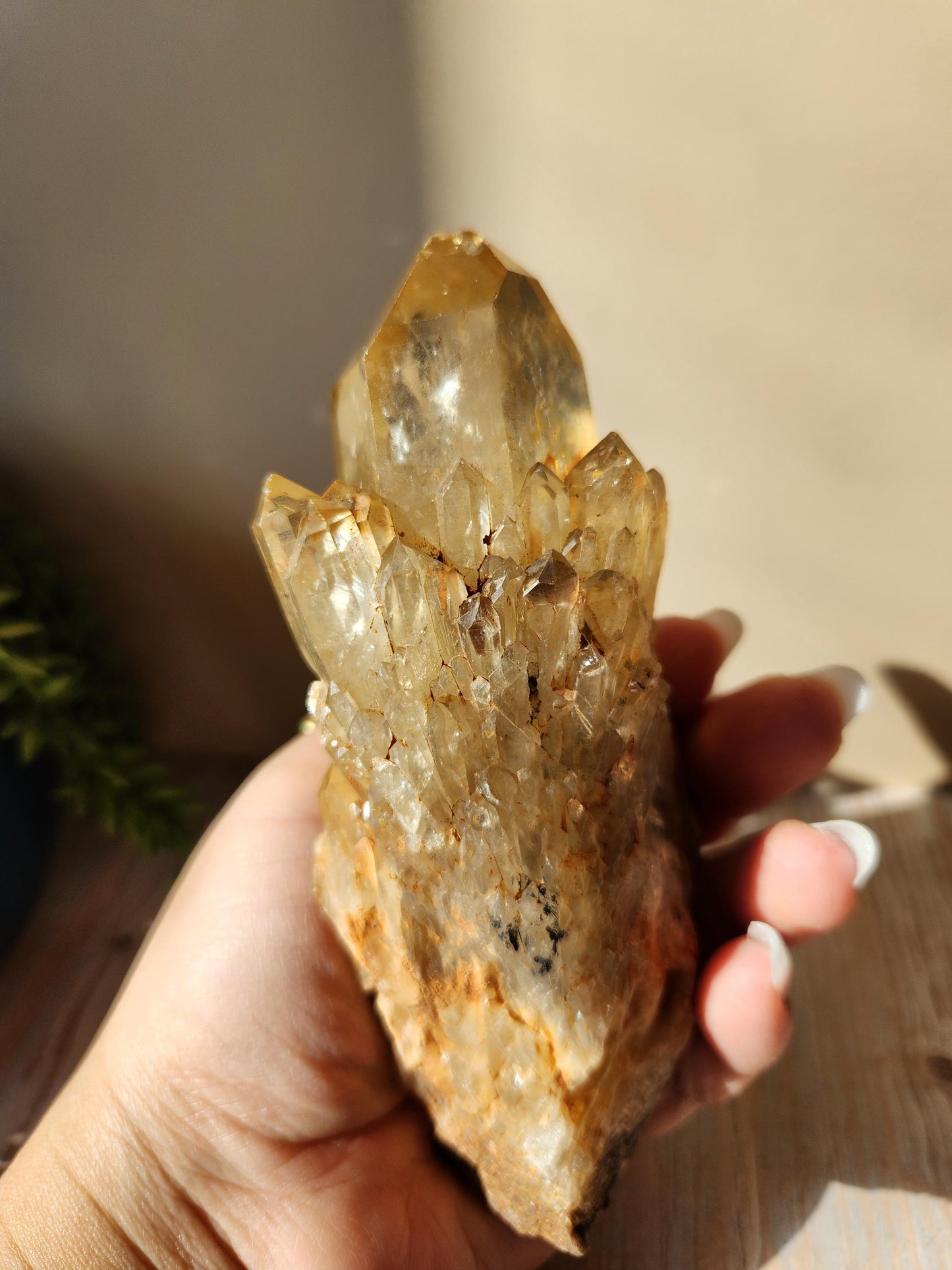 Natural kundalini citrine cluster from the Congo, honey citrine with rainbows, genuine, untreated and not polished