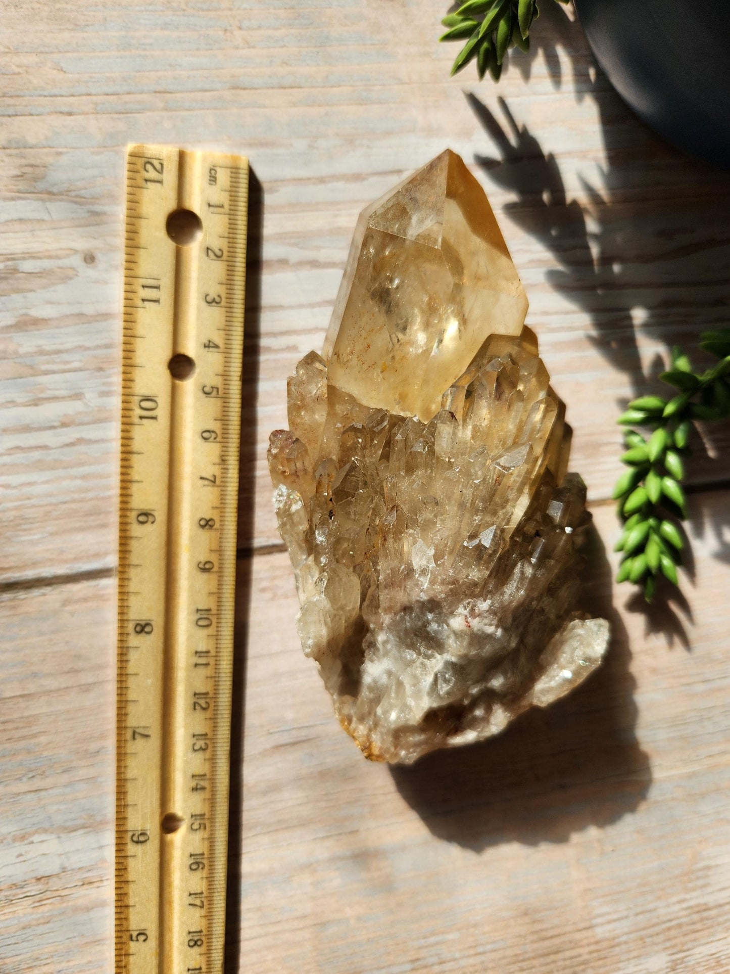 Natural kundalini citrine cluster from the Congo, honey citrine with rainbows, genuine, untreated and not polished