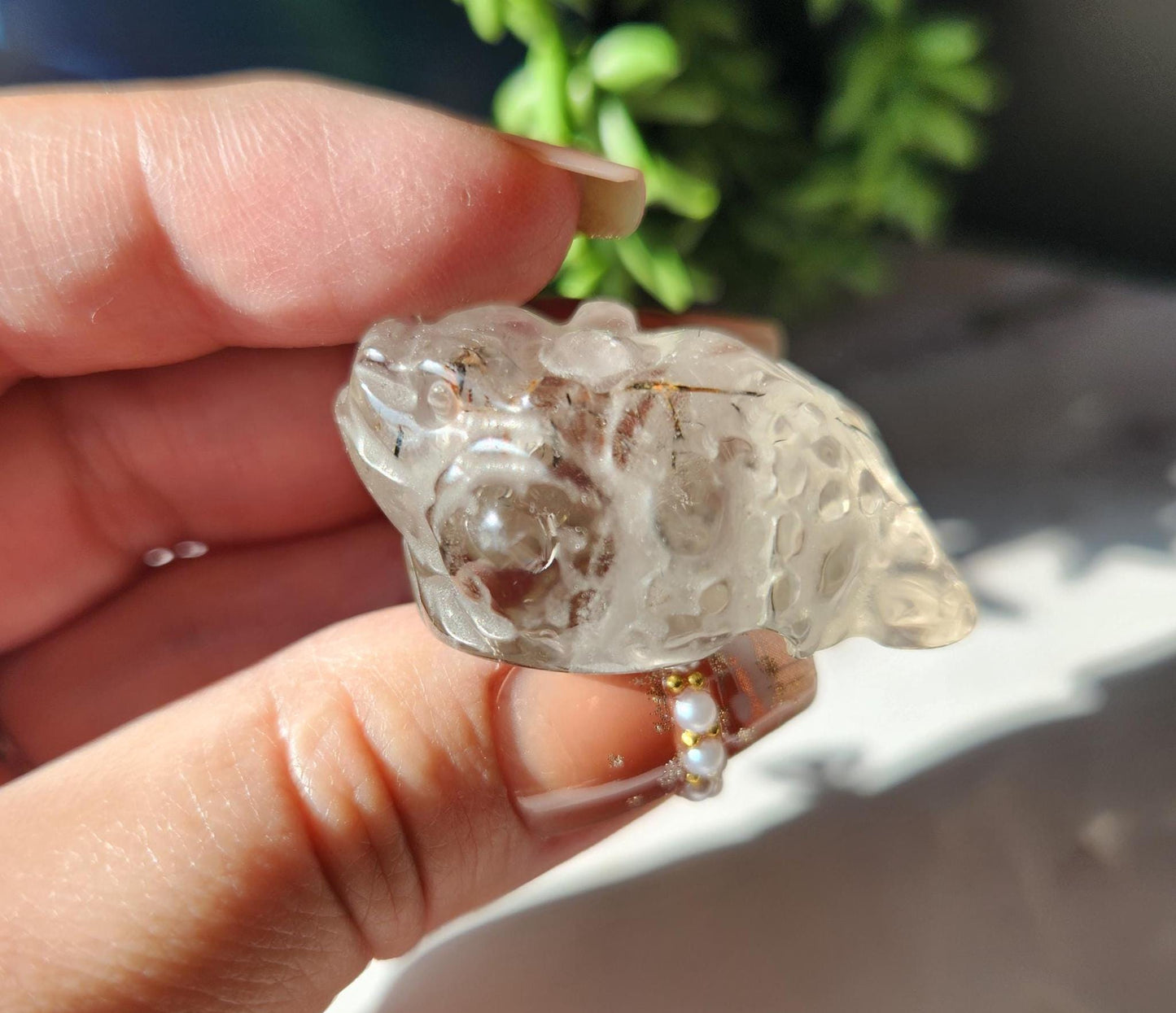 AAA black tourmaline in quartz money toad carvings, money frog