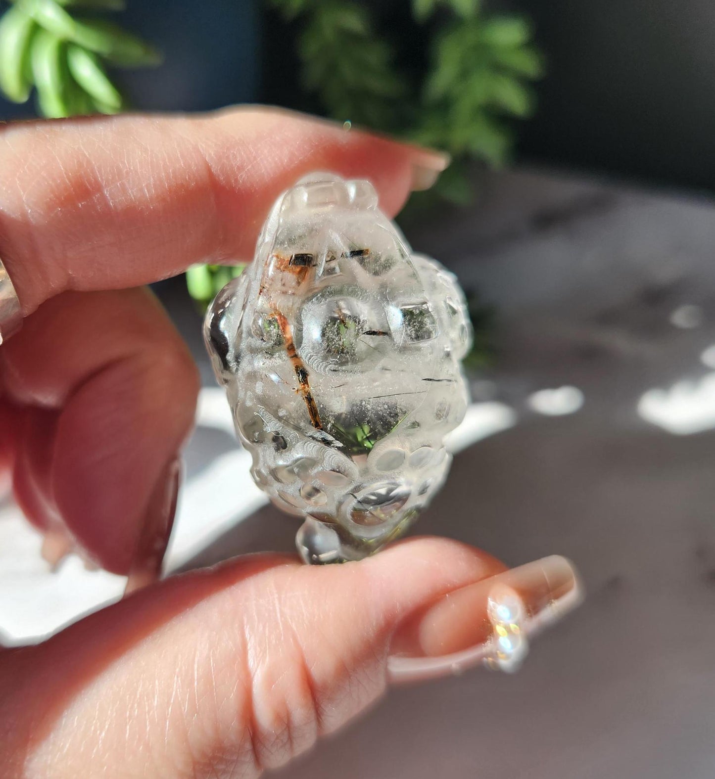 AAA black tourmaline in quartz money toad carvings, money frog