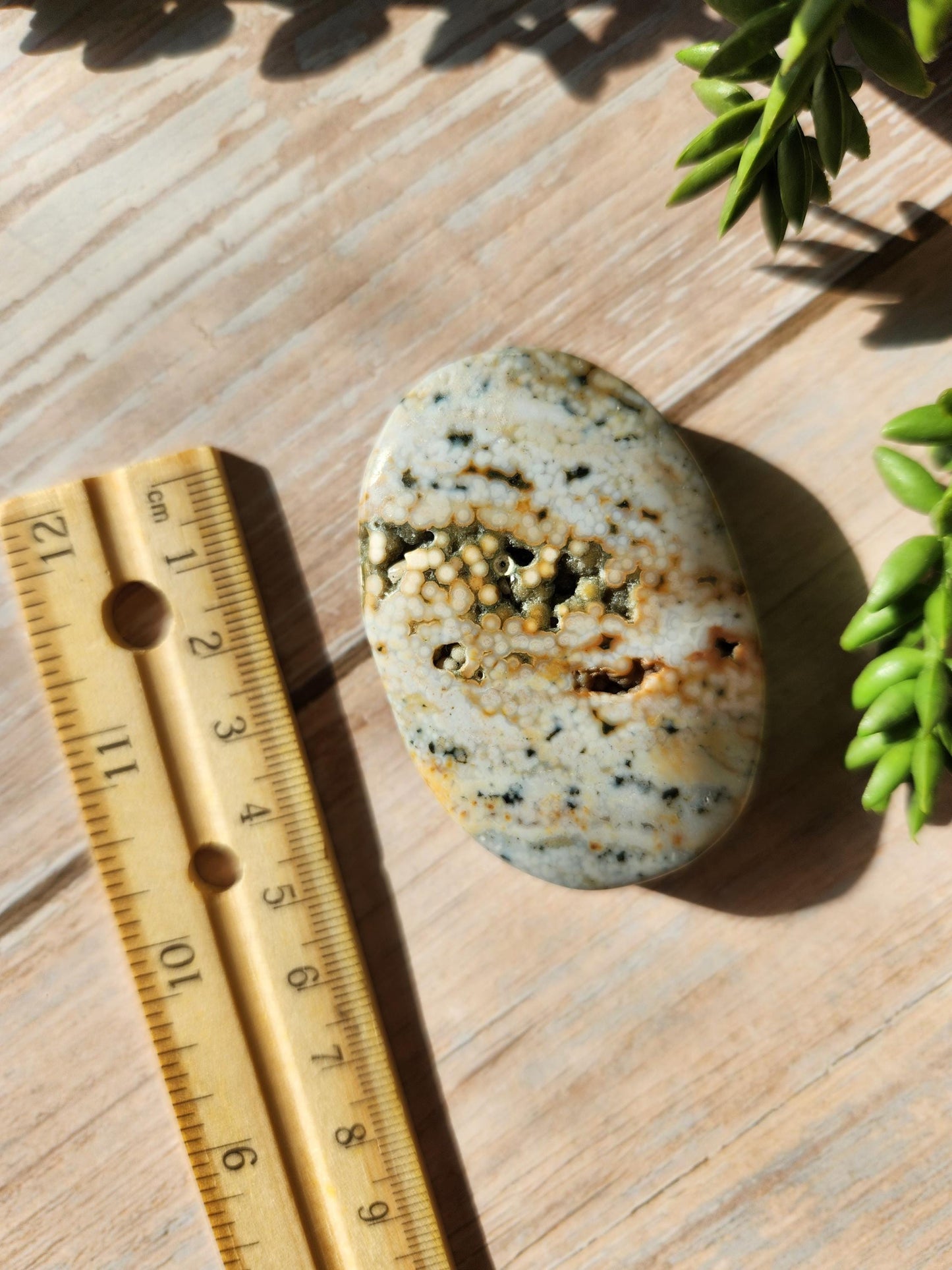 Pretty ocean jasper palm stone with druzy