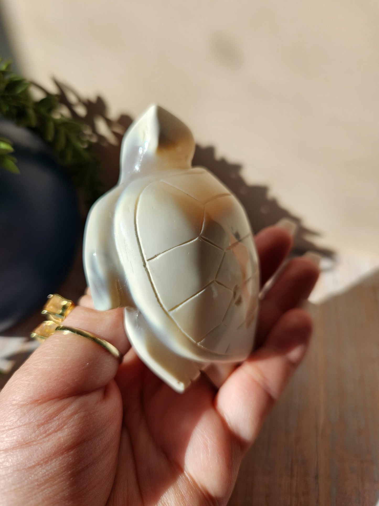 Amazing white orca sea turtle, hand carved
