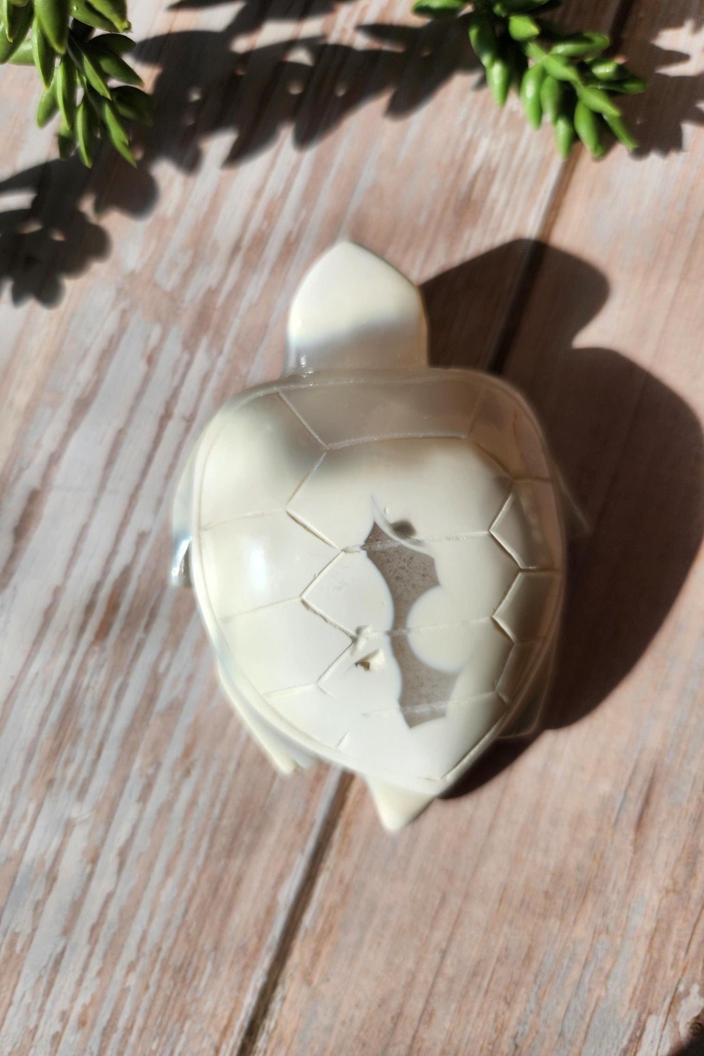 Amazing white orca sea turtle, hand carved