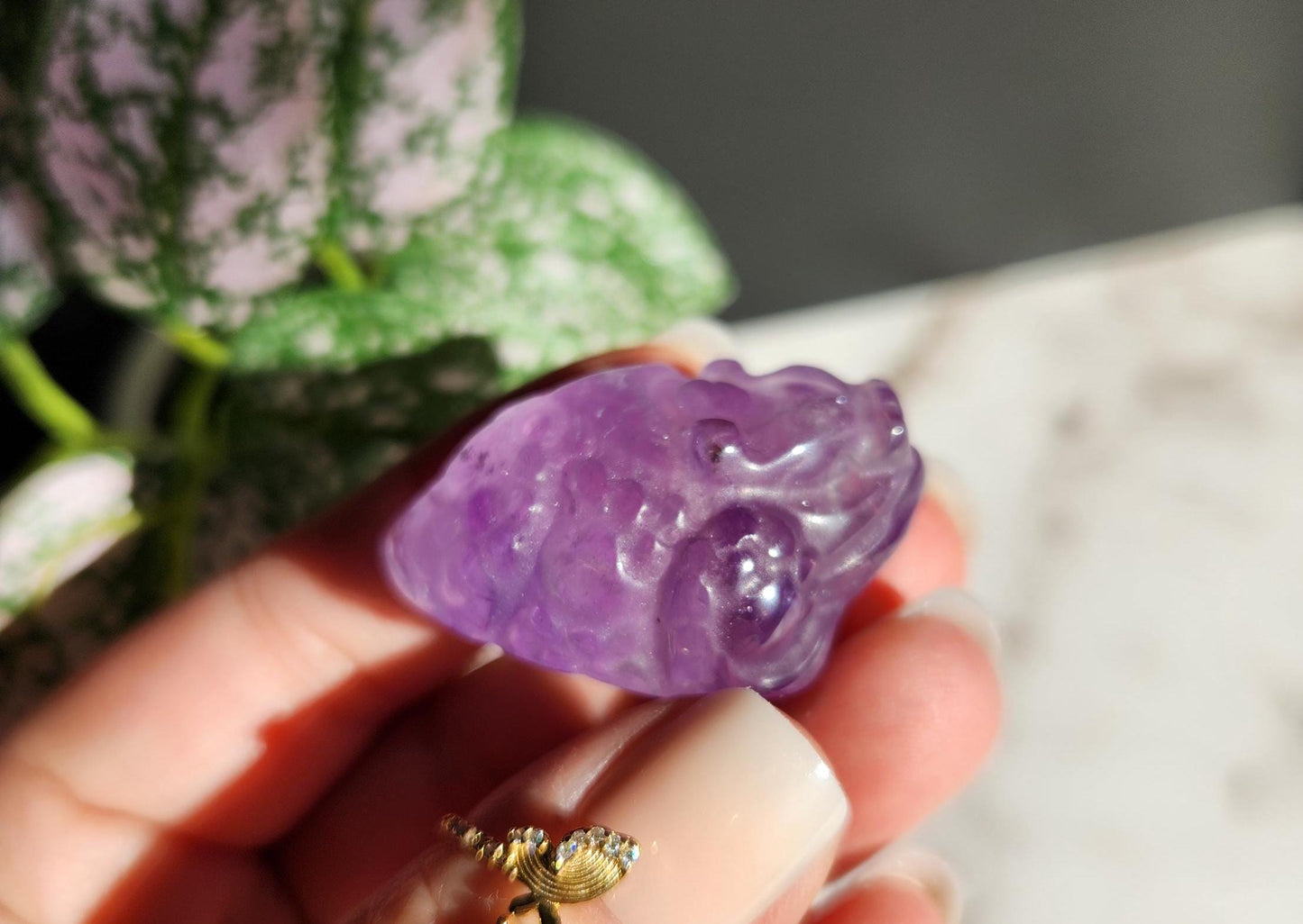AAA Amethyst money toad carvings, money frog