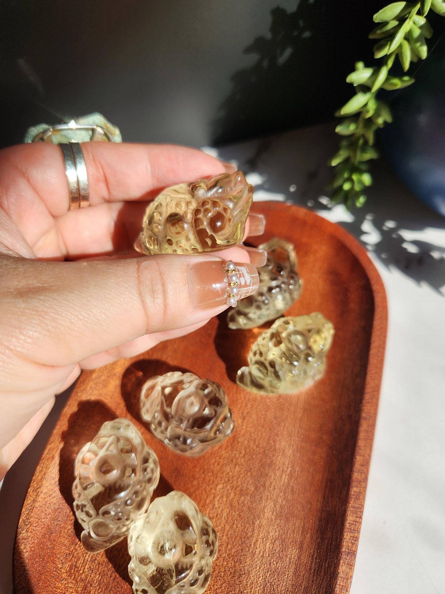 Light citrine money toad carvings, money frog