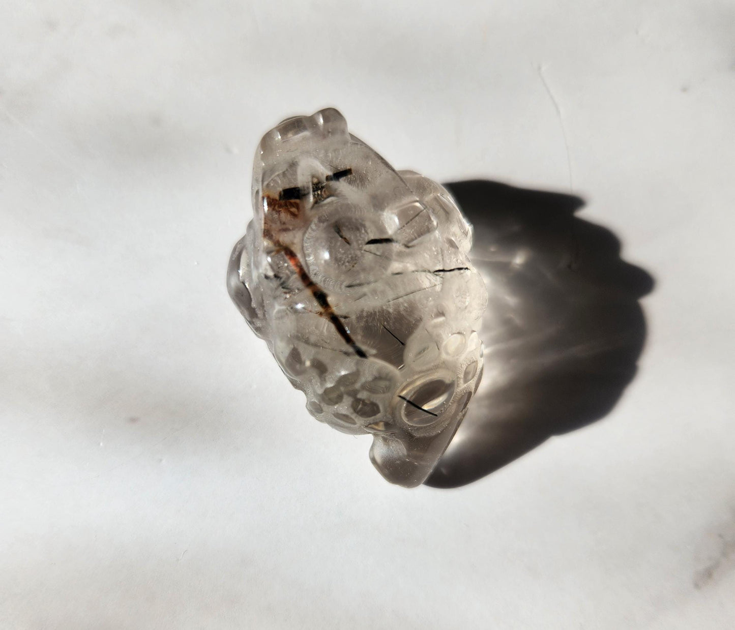 AAA black tourmaline in quartz money toad carvings, money frog