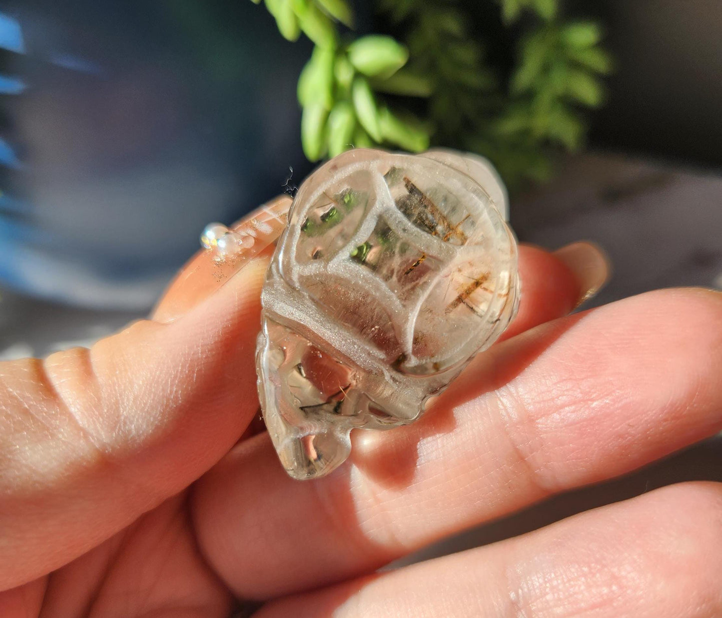 AAA black tourmaline in quartz money toad carvings, money frog