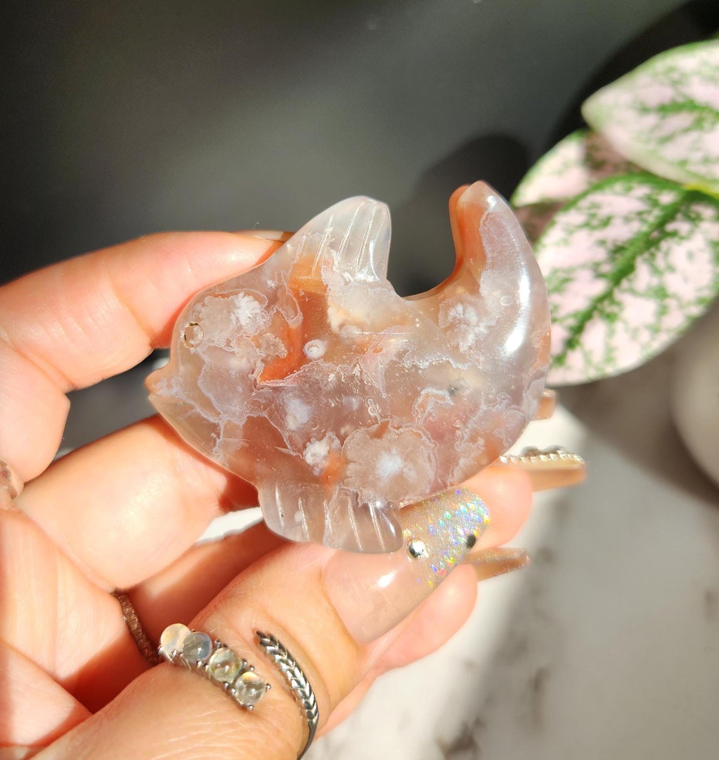 AAA carnelian flower agate dolphin carving, natural, self standing