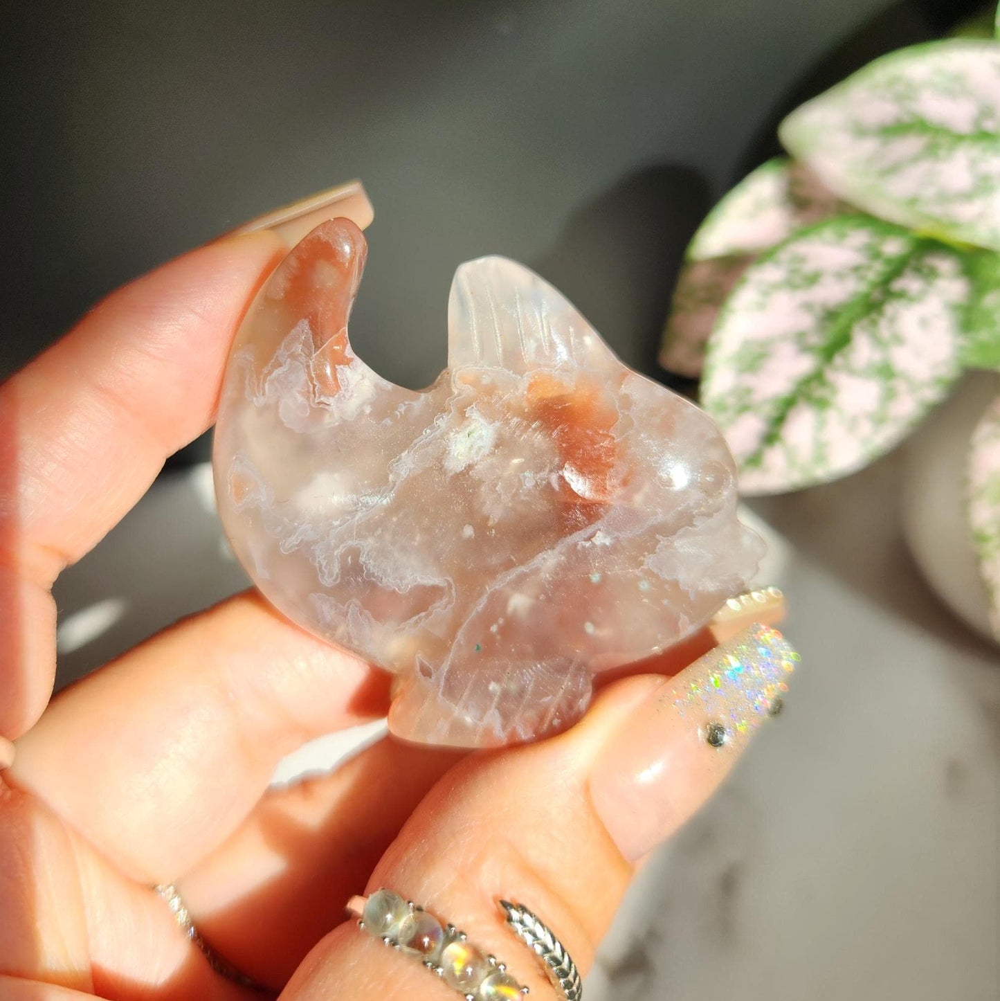 AAA carnelian flower agate dolphin carving, natural, self standing