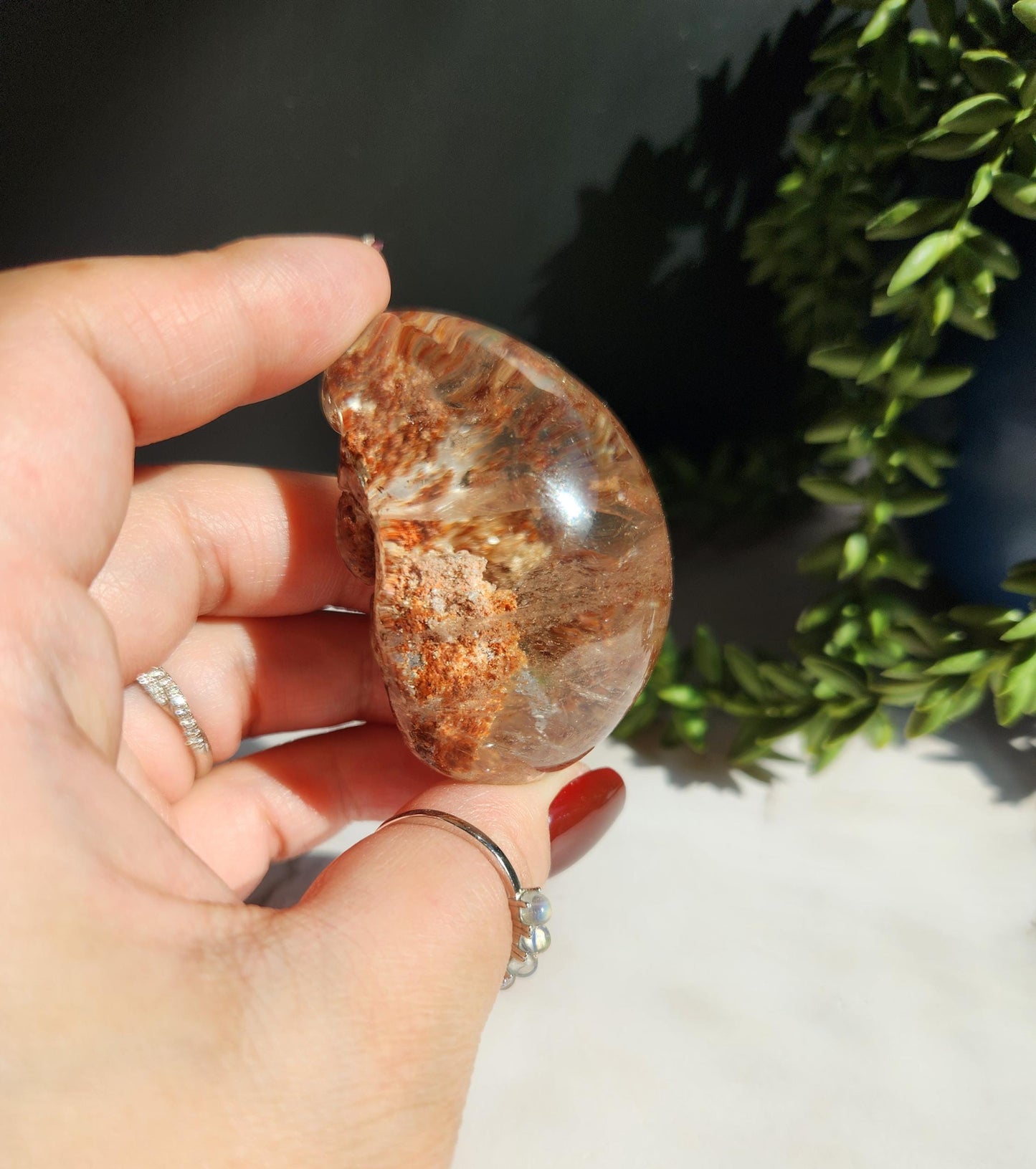 Natural lodolite garden quartz lens from Brazil, half polish and half raw