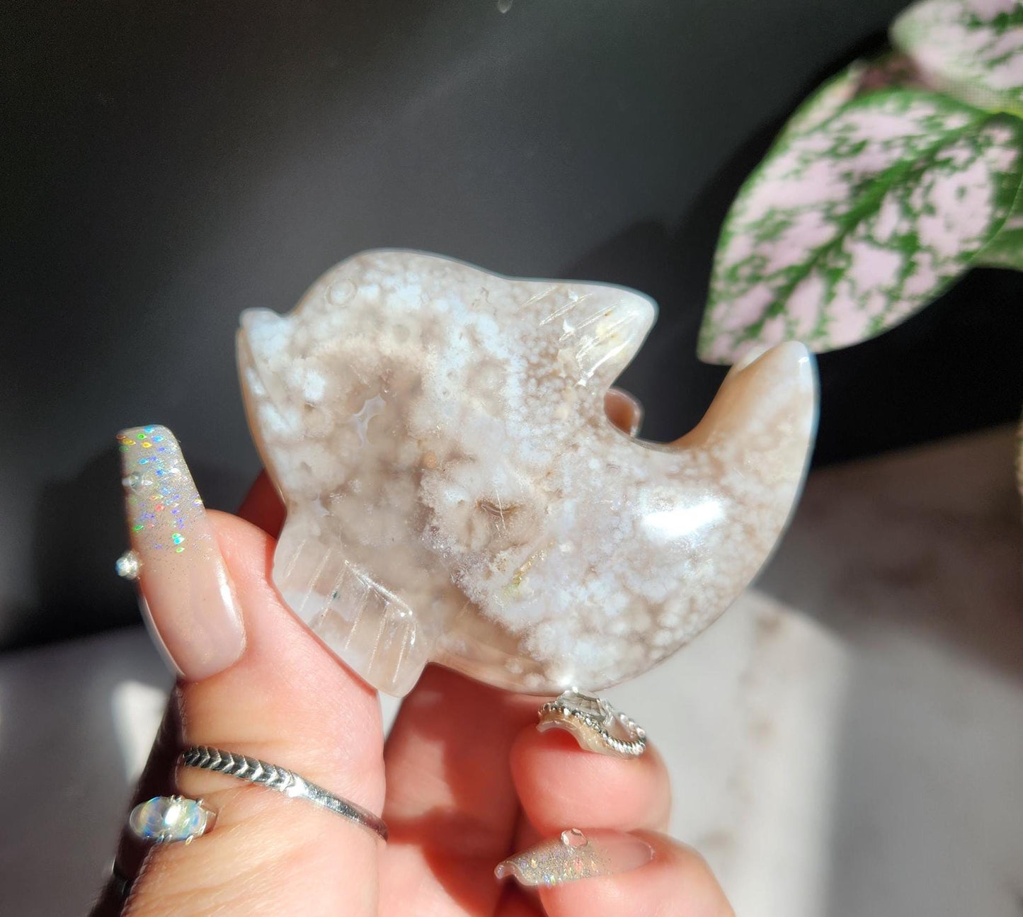 Beautiful flower agate dolphin carving, natural, self standing