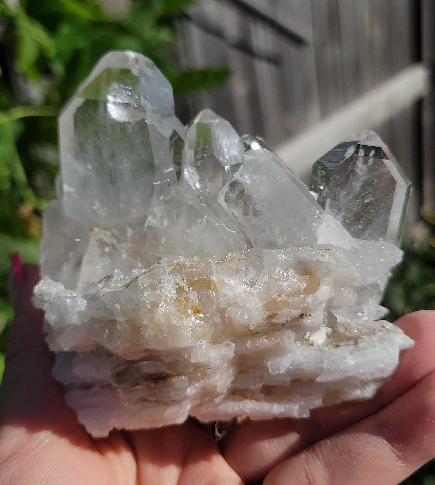 Amazing large lumarian faden cluster from Columbia