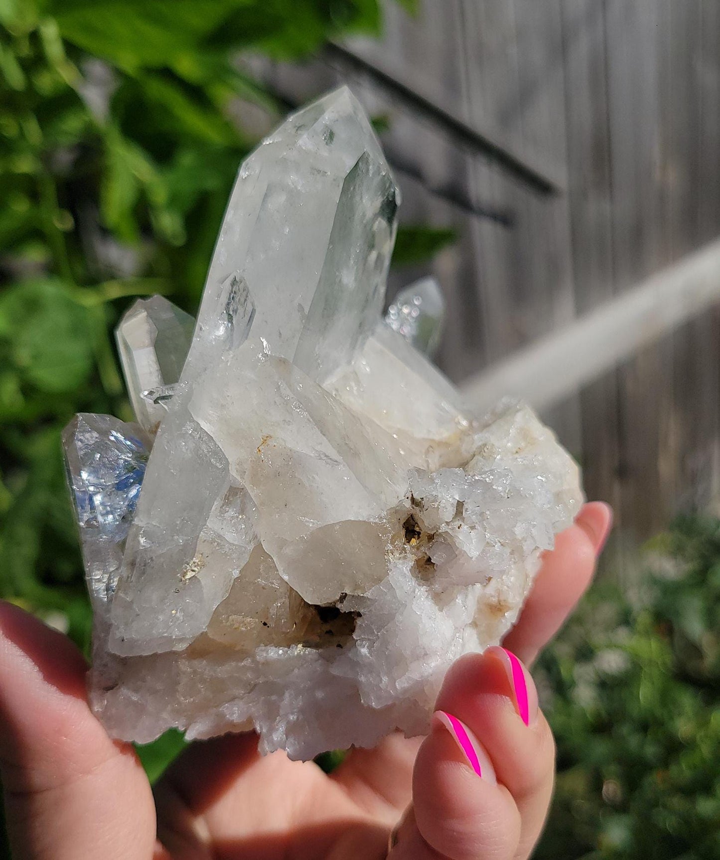 Amazing large lumarian faden cluster from Columbia