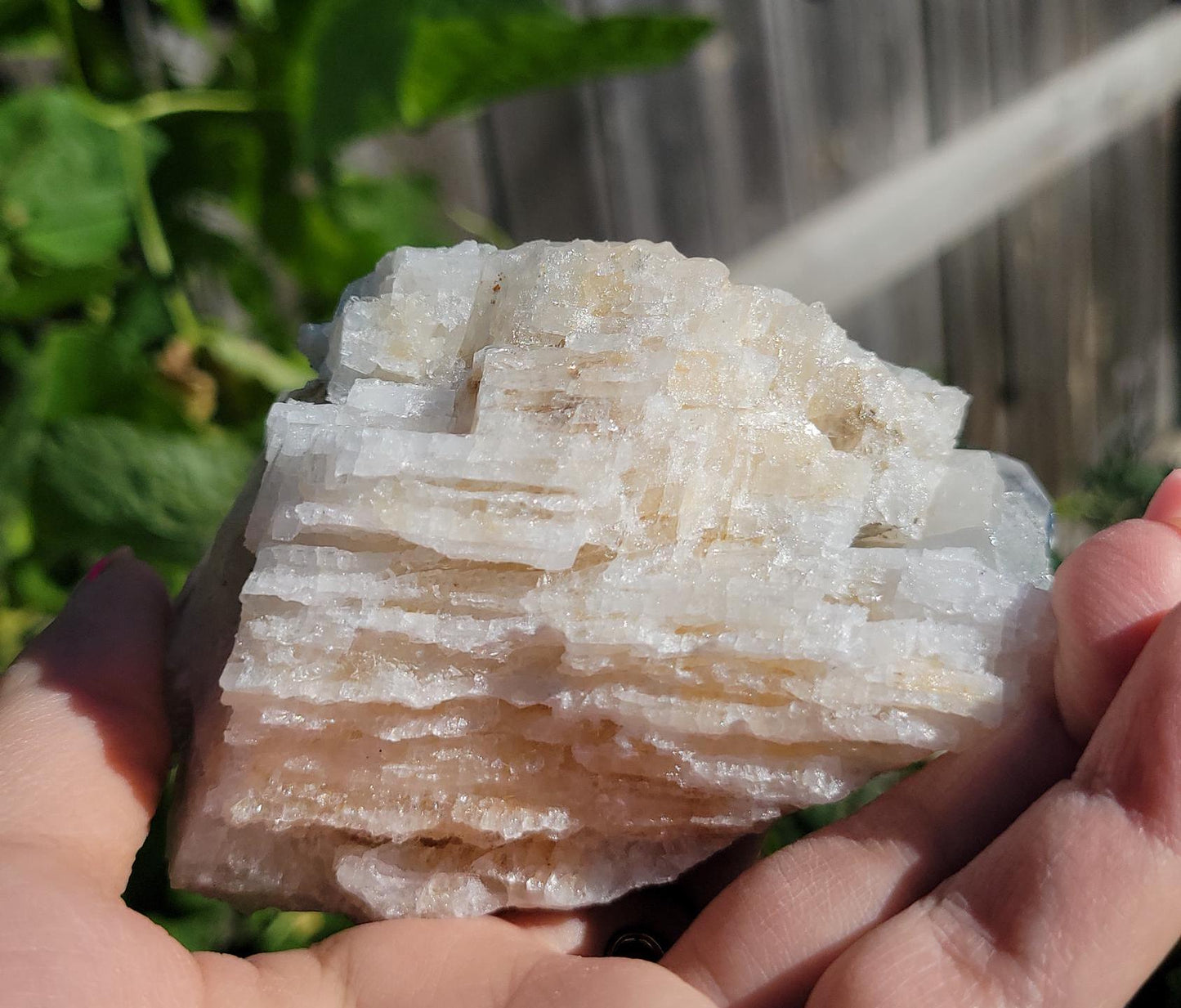 Amazing large lumarian faden cluster from Columbia