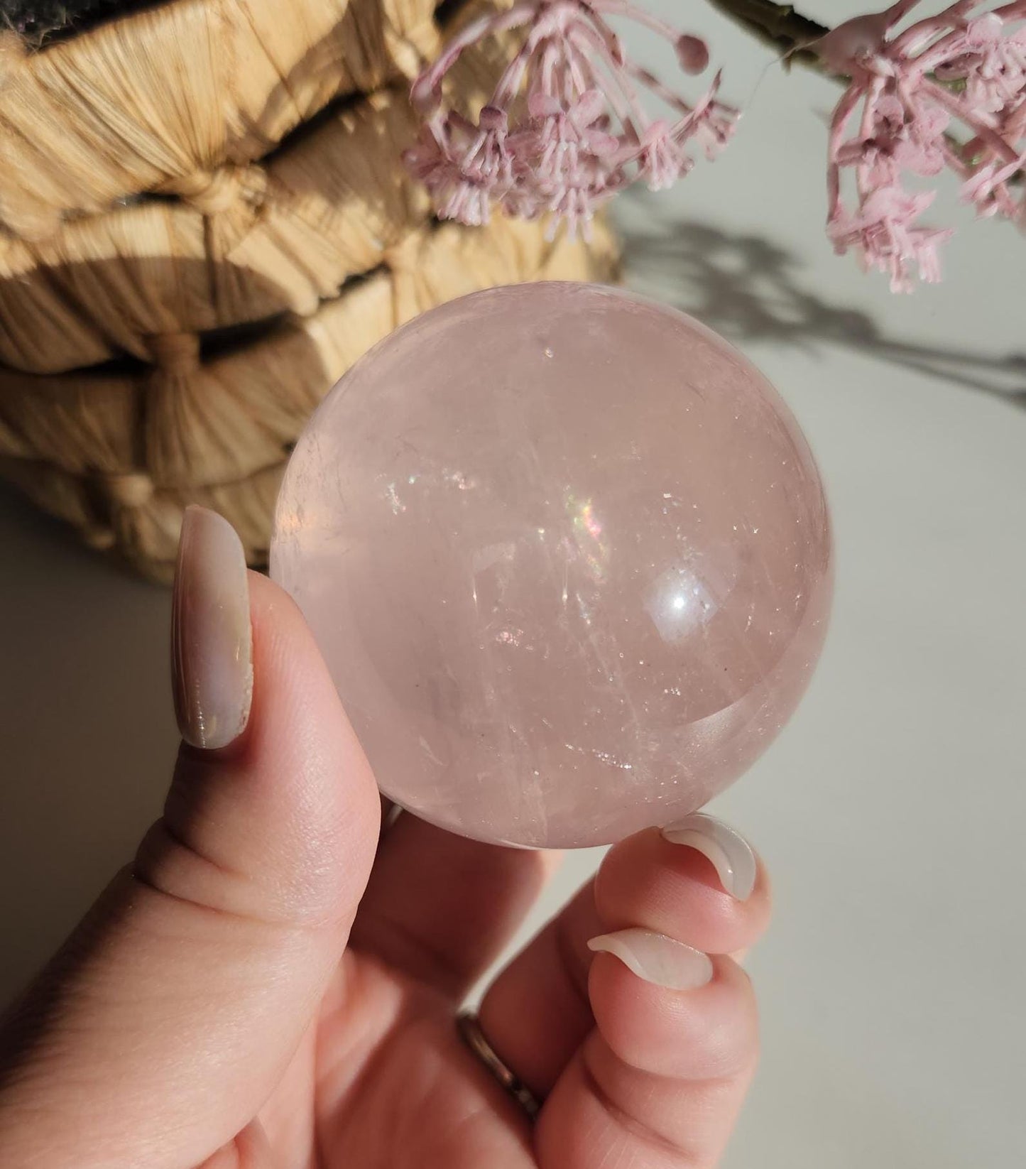 High quality 6 star rose quartz sphere, translucent with inclusions and rainbows from Mozambique  H50