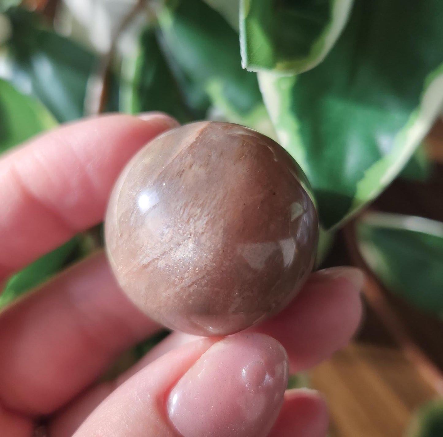 Beautiful peach moonstone sphere with a nice flash