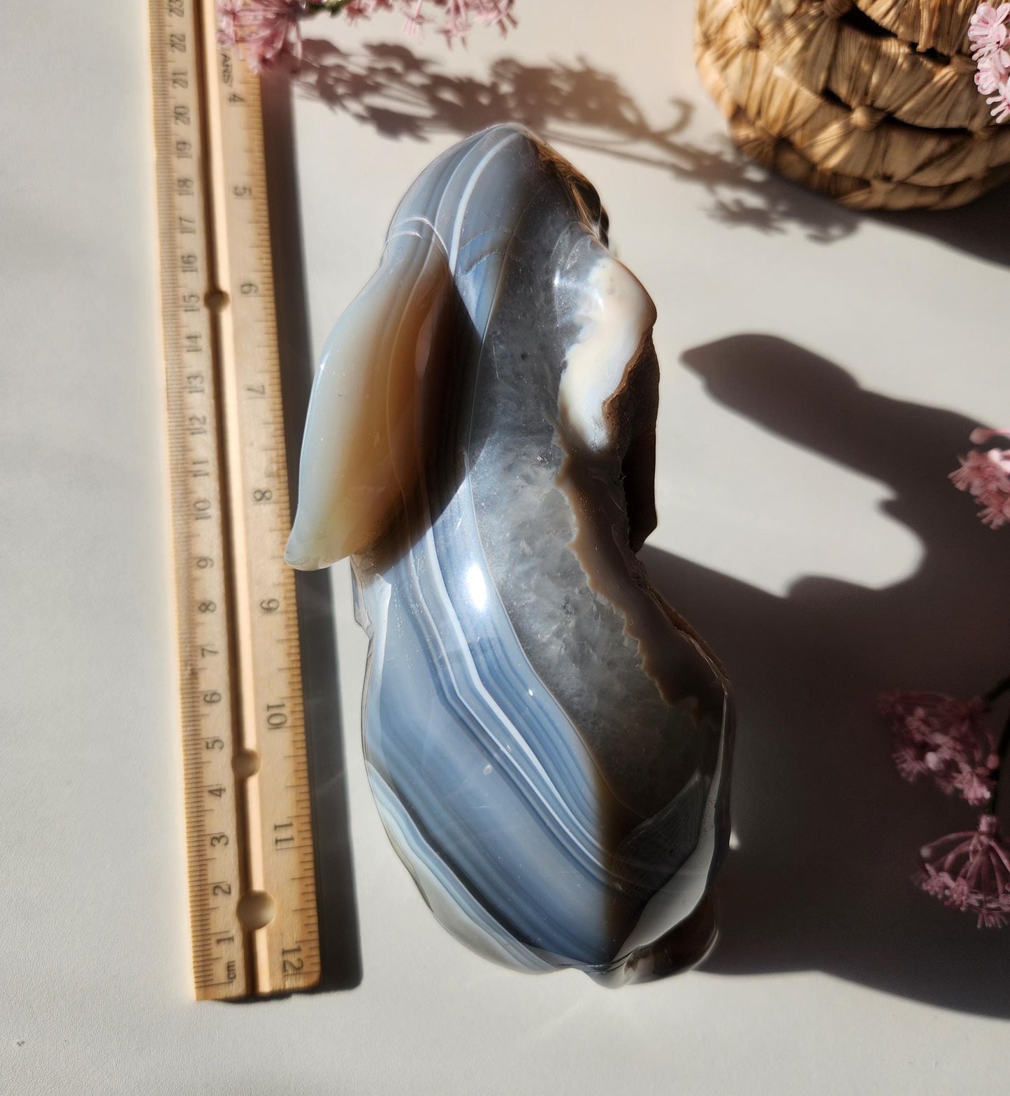 Beautiful master hand carved elephant agate with a sparkly white druzy, natural, nice banding, quartz