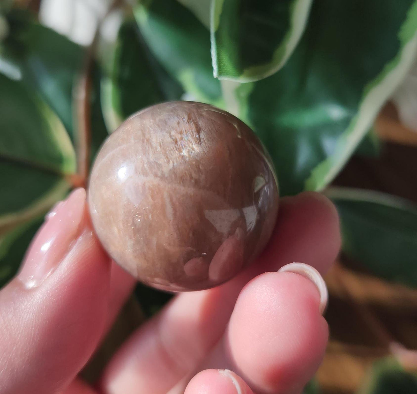 Beautiful peach moonstone sphere with a nice flash