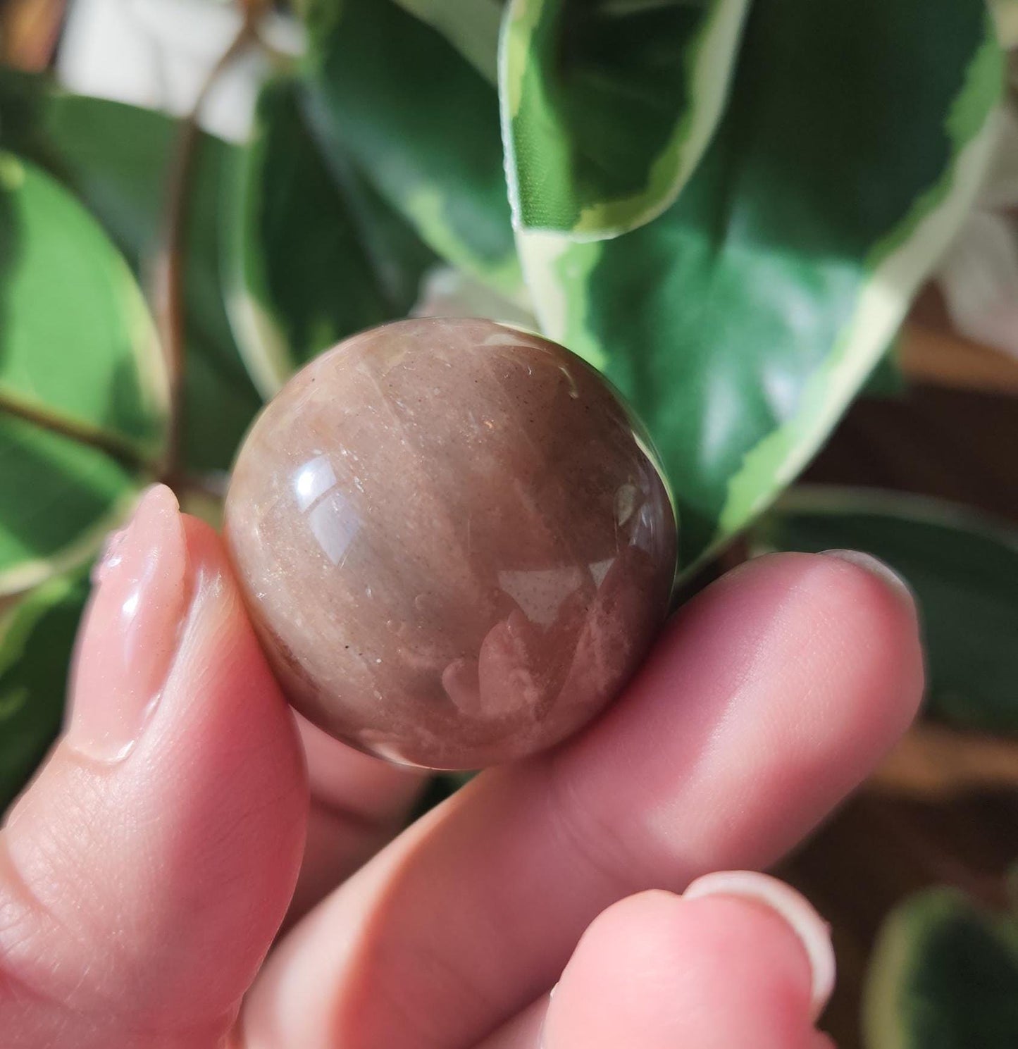 Beautiful peach moonstone sphere with a nice flash