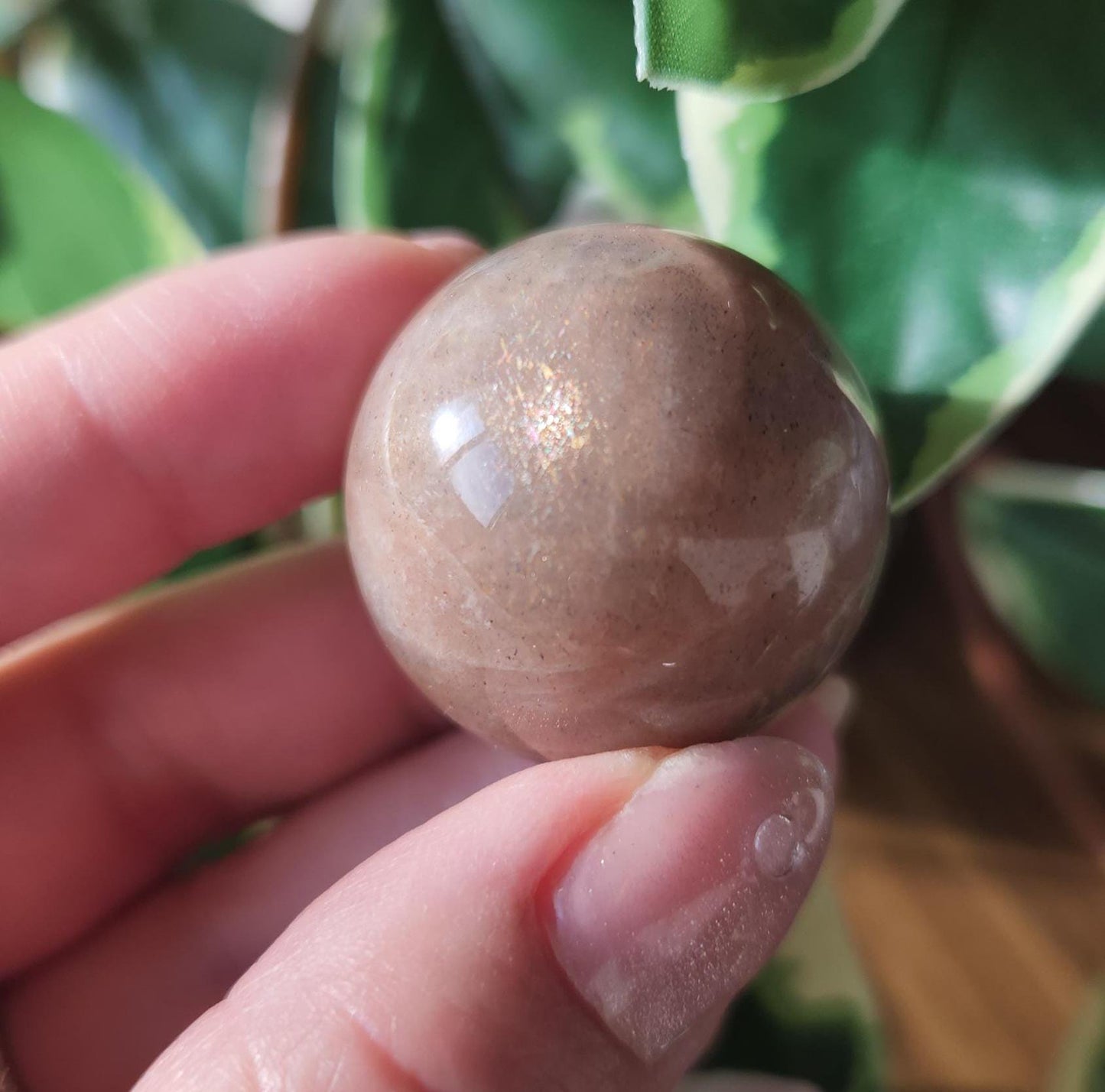 Beautiful peach moonstone sphere with a nice flash