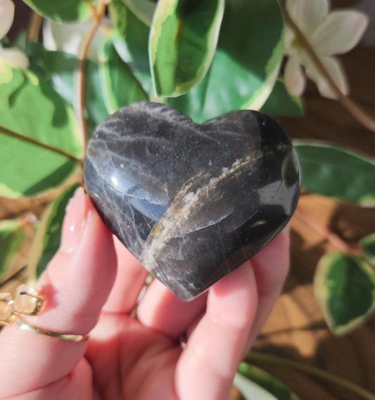 Beautiful black moonstone heart with a nice flash