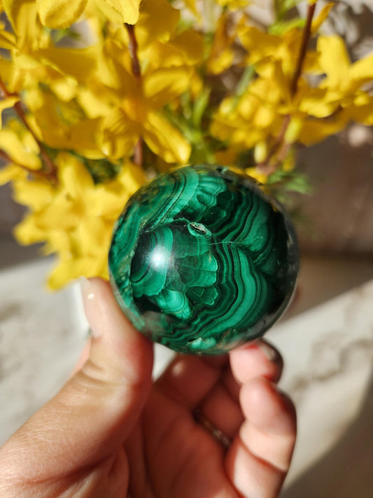 Beautiful natural malachite sphere with druzy and stunning orbs and flower patterns, no fillers 49.5mm