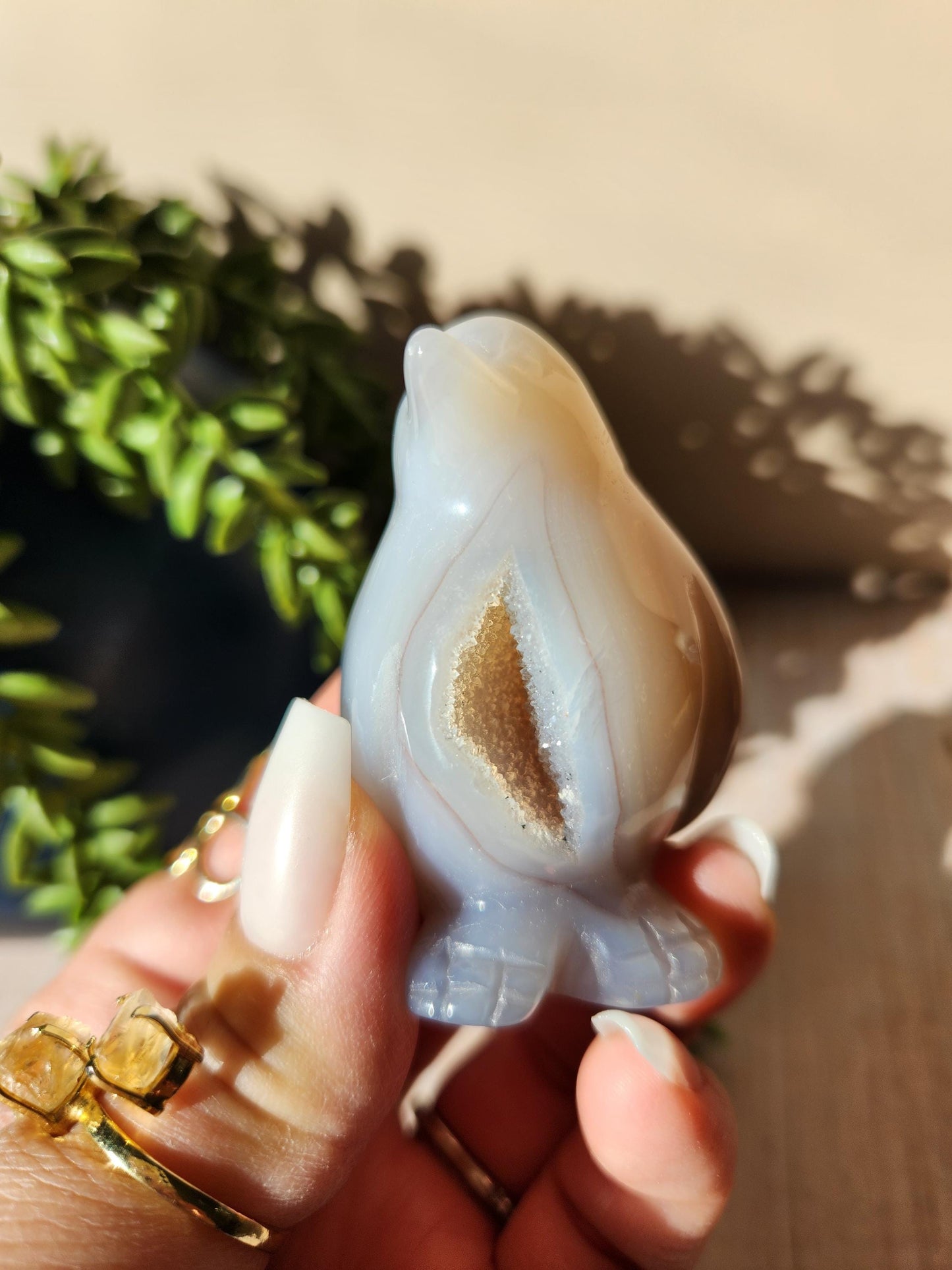 Adorable chubby penguin agate carving with sparkly druzy, natural agate
