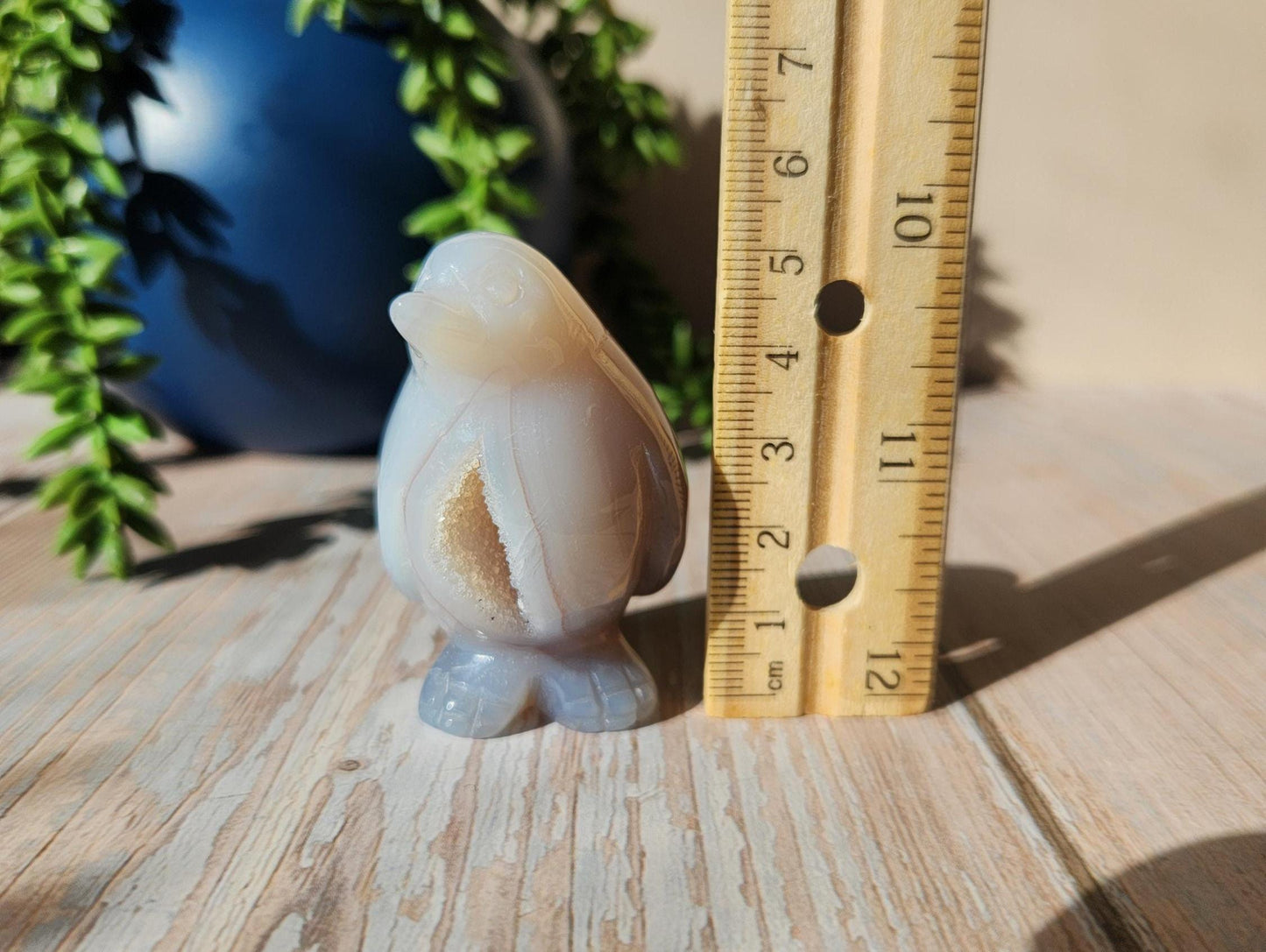 Adorable chubby penguin agate carving with sparkly druzy, natural agate
