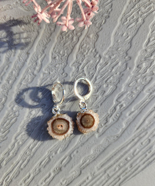 Gorgeous light amethyst stalactite  earings on silver, natural from Brazil