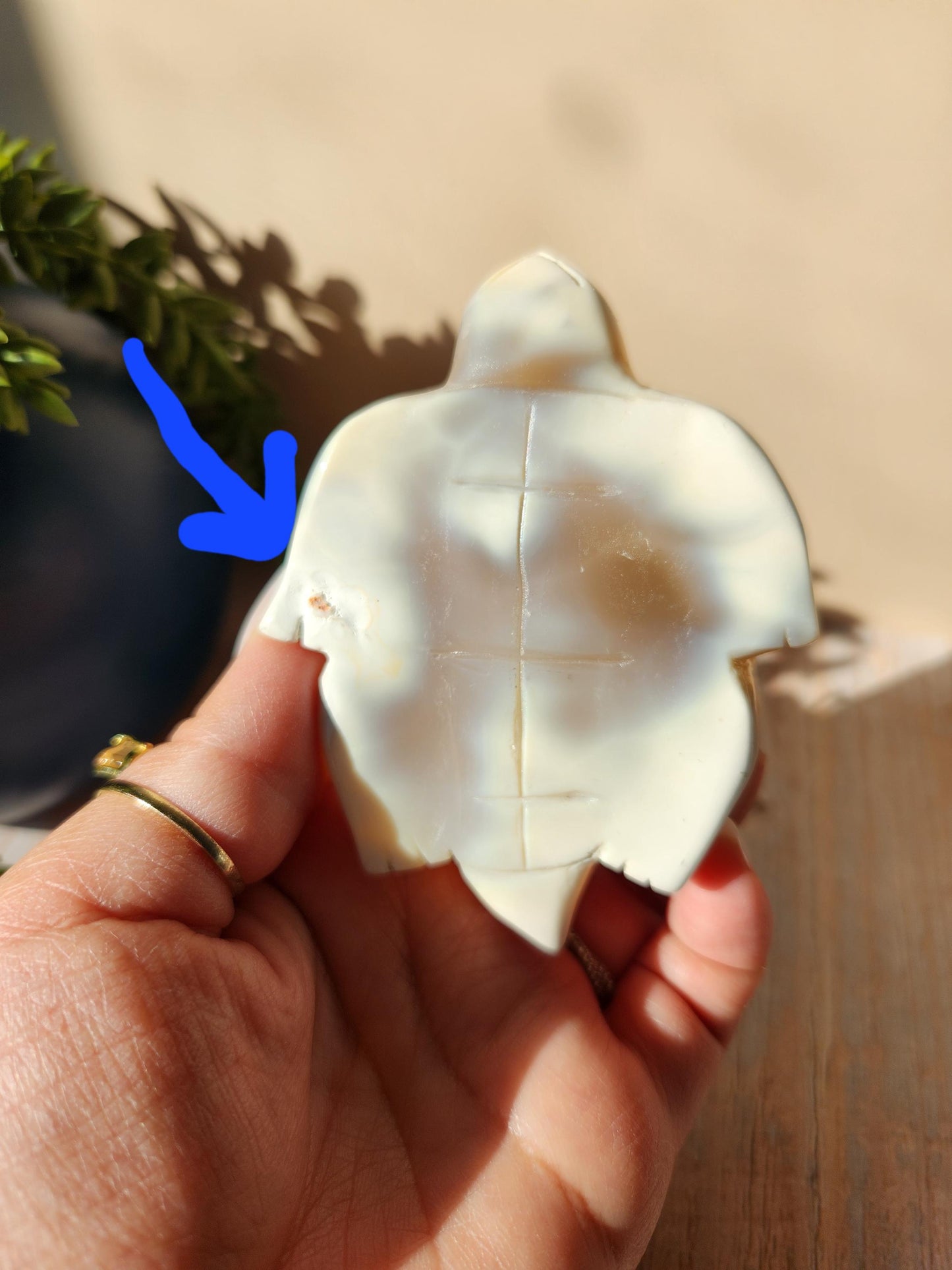 Amazing white orca sea turtle, hand carved
