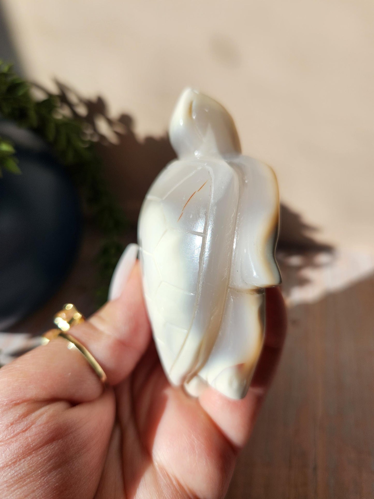 Amazing white orca sea turtle, hand carved