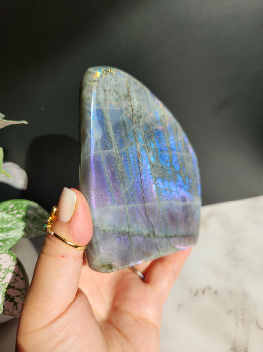 Amazing large purple blue white labradorite free form from Madagascar, natural labradorite