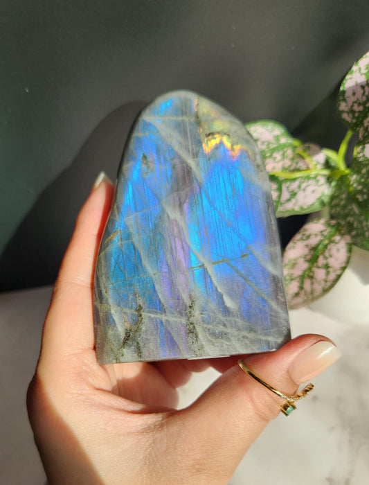 Gorgeous blue and purple white labradorite free form from Madagascar, natural labradorite