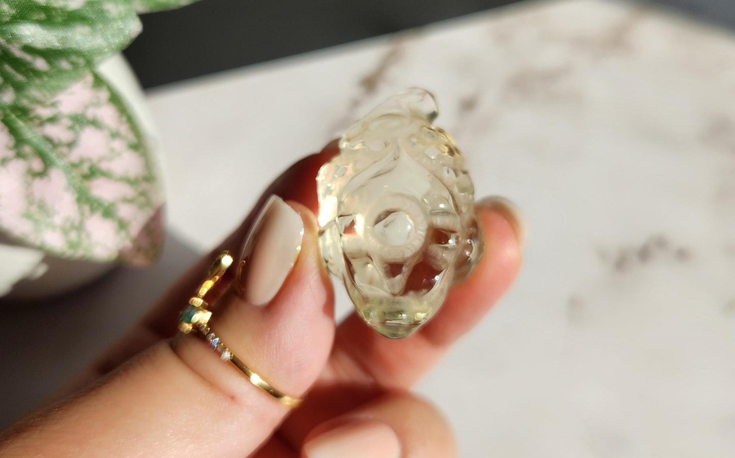 Light citrine money toad carvings, money frog