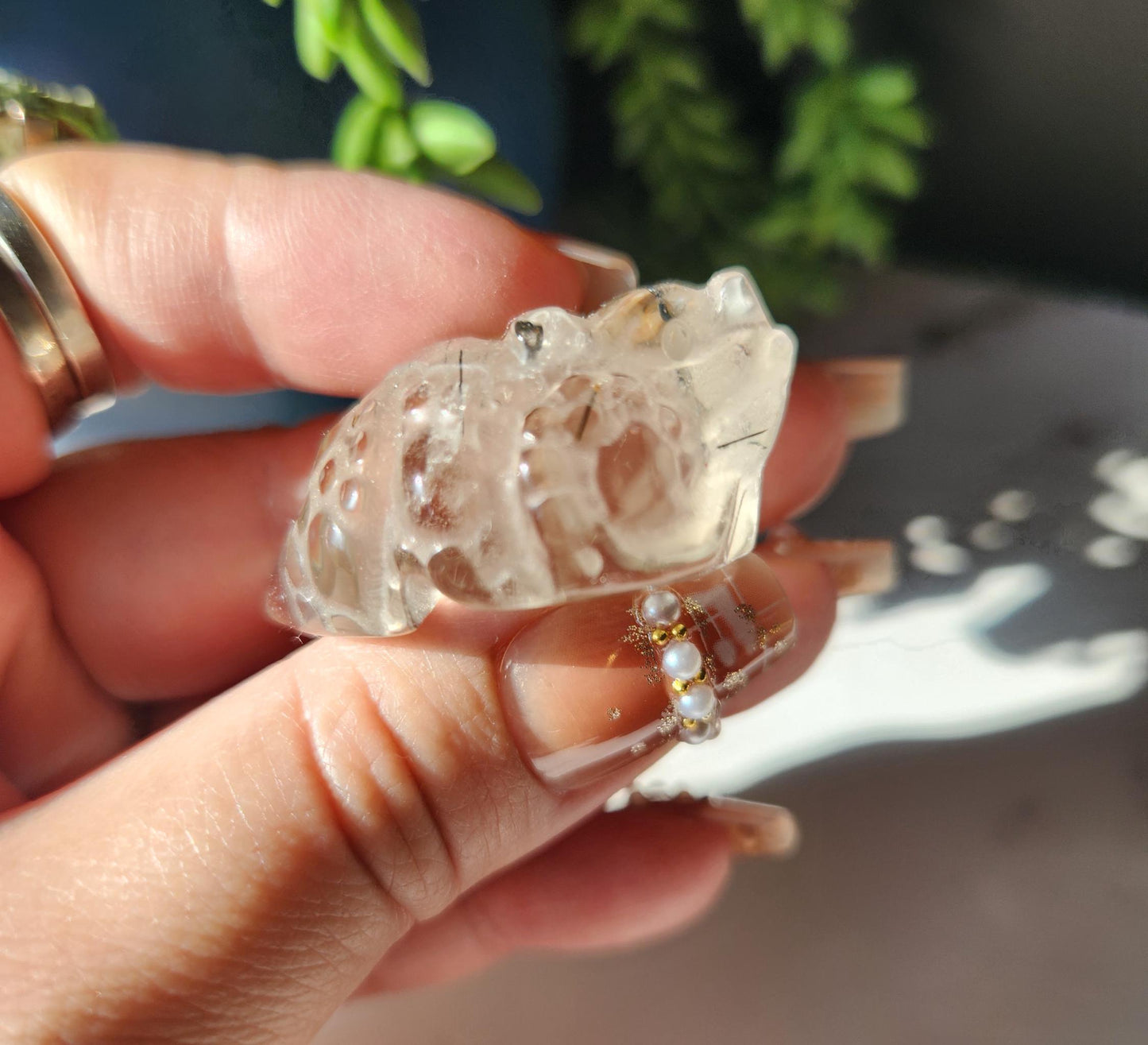AAA black tourmaline in quartz money toad carvings, money frog