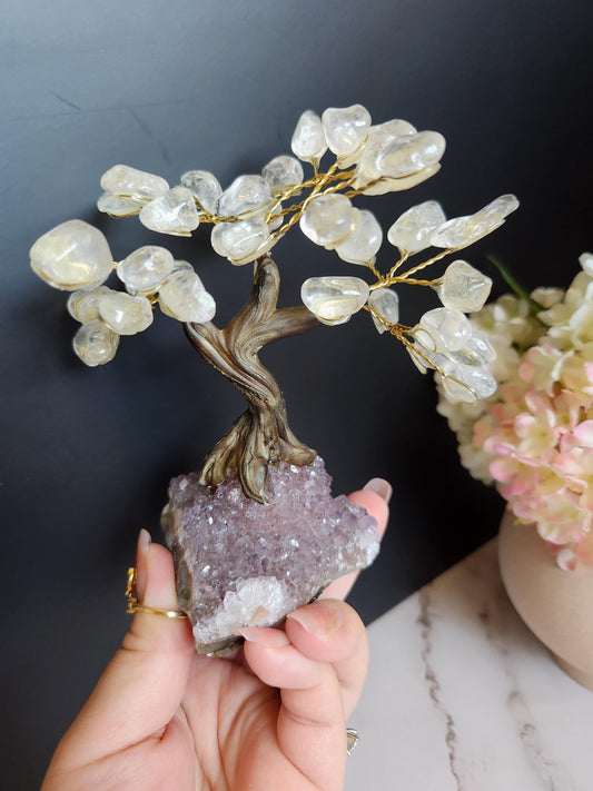 Beautiful clear quartz bonsai tree with purple amethyst cluster base from Brazil, home decor